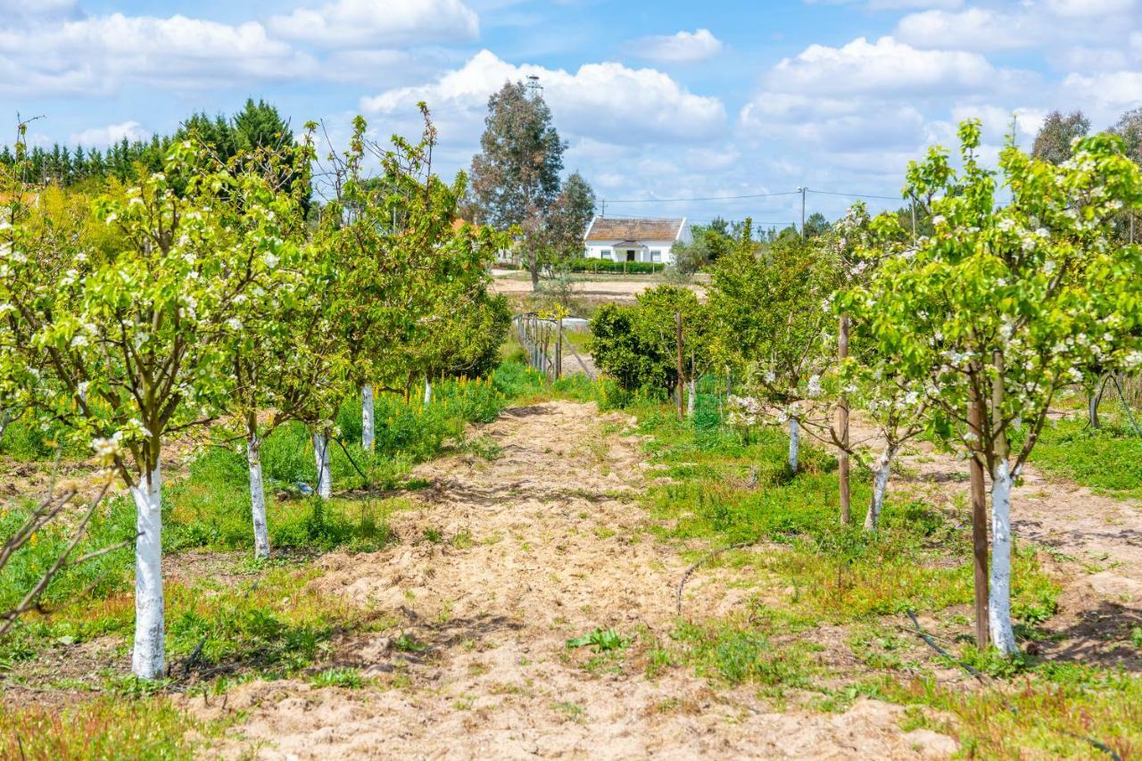 Chitaka'S Organic Farmhouse In Ribatejo Santo Estevao  Экстерьер фото